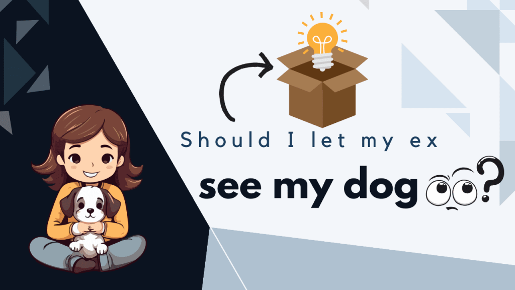 Should I let my ex see my dog
