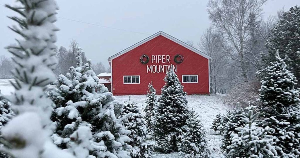 Inside the Magical World of Owning a Christmas Tree Farm Inside the Magical World of Owning a Christmas Tree Farm