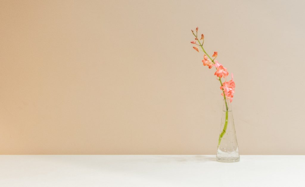 The Chaos & Abundance of Spring Become Quiet So You Can Listen