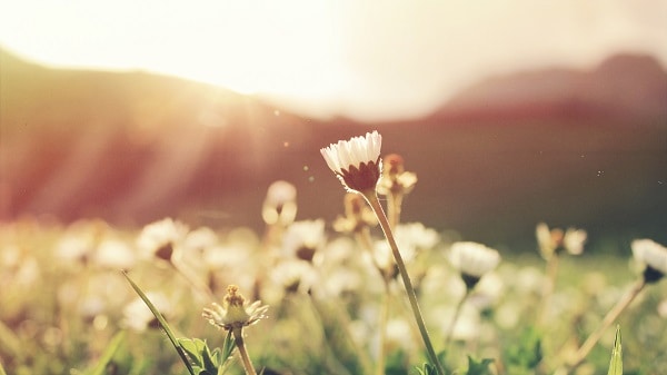 3 Things You Need to Stop Doing to Live a Simpler Life 3 Things You Need to Stop Doing to Live a Simpler Life