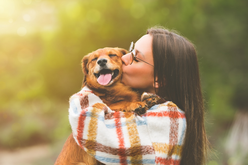 My Dog is Anxious Thanks to My Divorce my dog is anxious