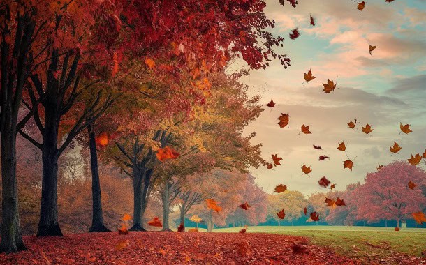 The Top 27 Autumn Quotes for a Motivated and Positive Season Wind blowing away autumn leaves falling from colorful trees.
