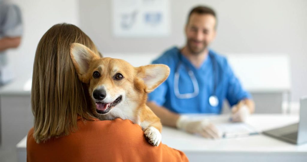 Is Pet Insurance Worth It?