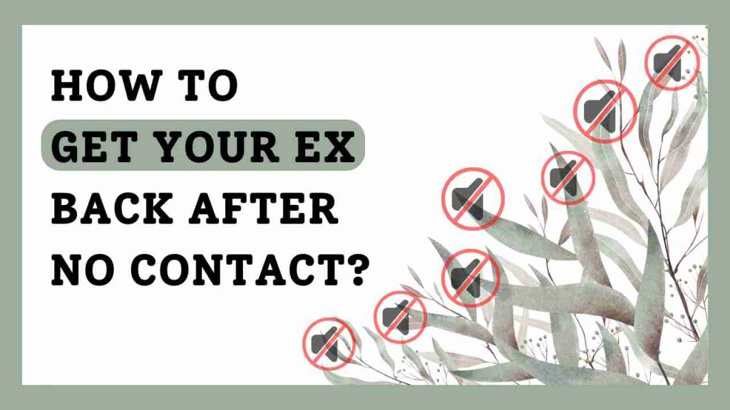 How To Get Your Ex Back After No Contact? How To Get Your Ex Back After No Contact?