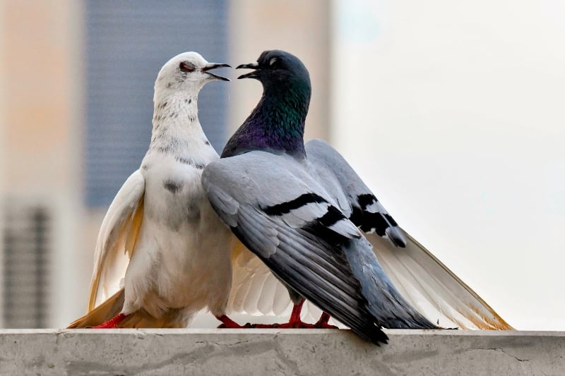 Six Healthy Ways to Cope With Resenting Your Partner Six Healthy Ways to Cope With Resenting Your Partner